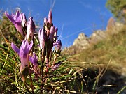 Anello Cancervo-Venturosa dal Canalino dei Sassi il 31 ottobre 2020  - FOTOGALLERY